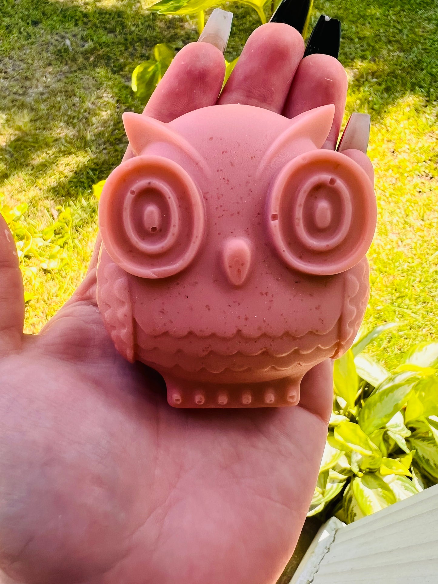 Owl Oatmeal Soap Bar